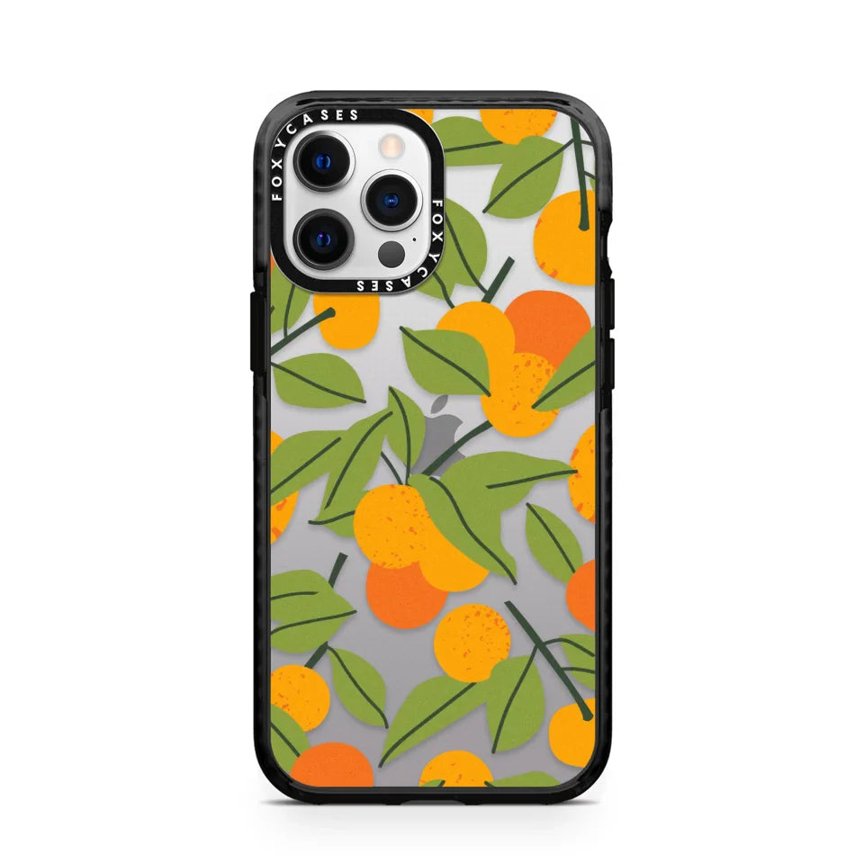 iPhone-12-Pro-Max-2024