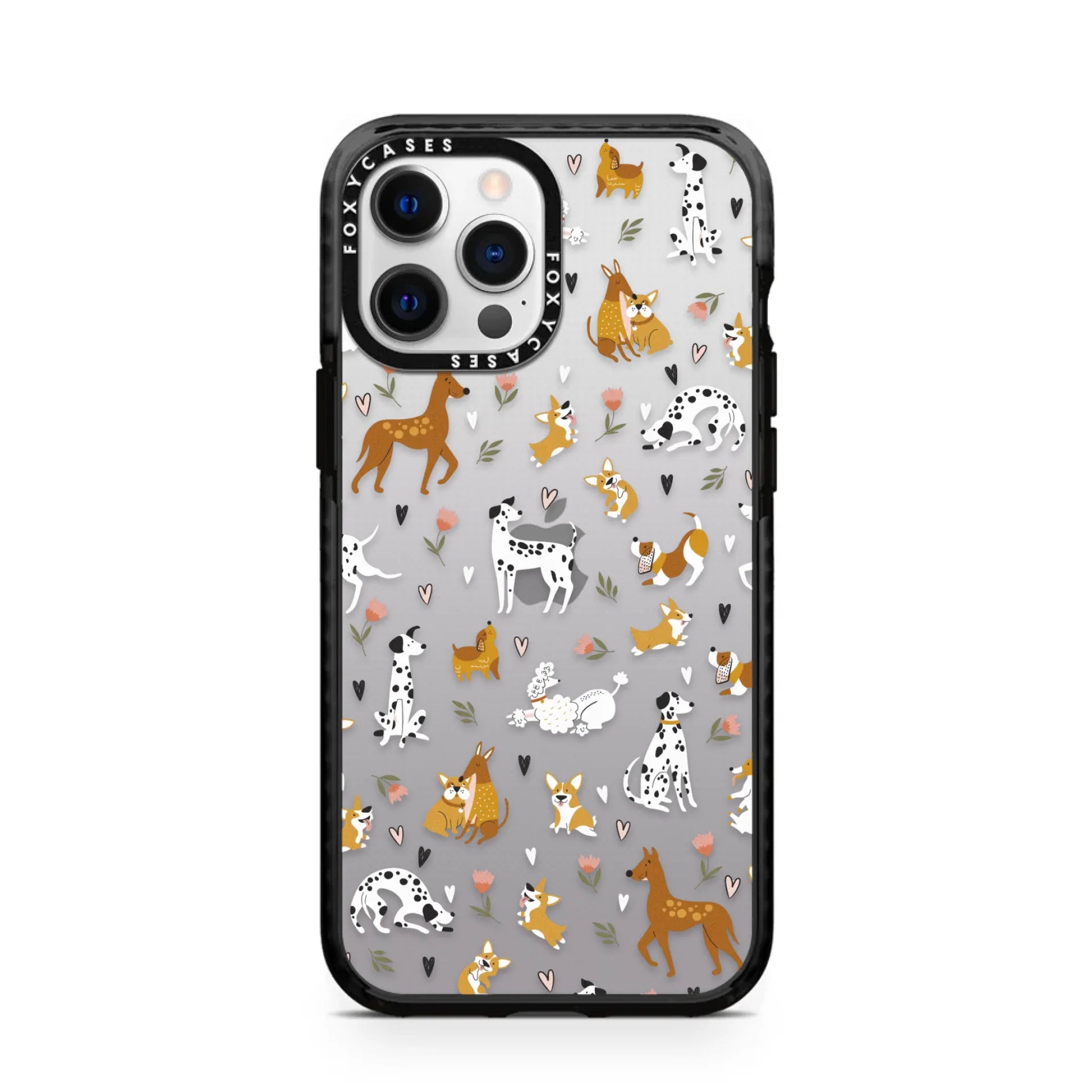 iPhone-12-Pro-Max-2024