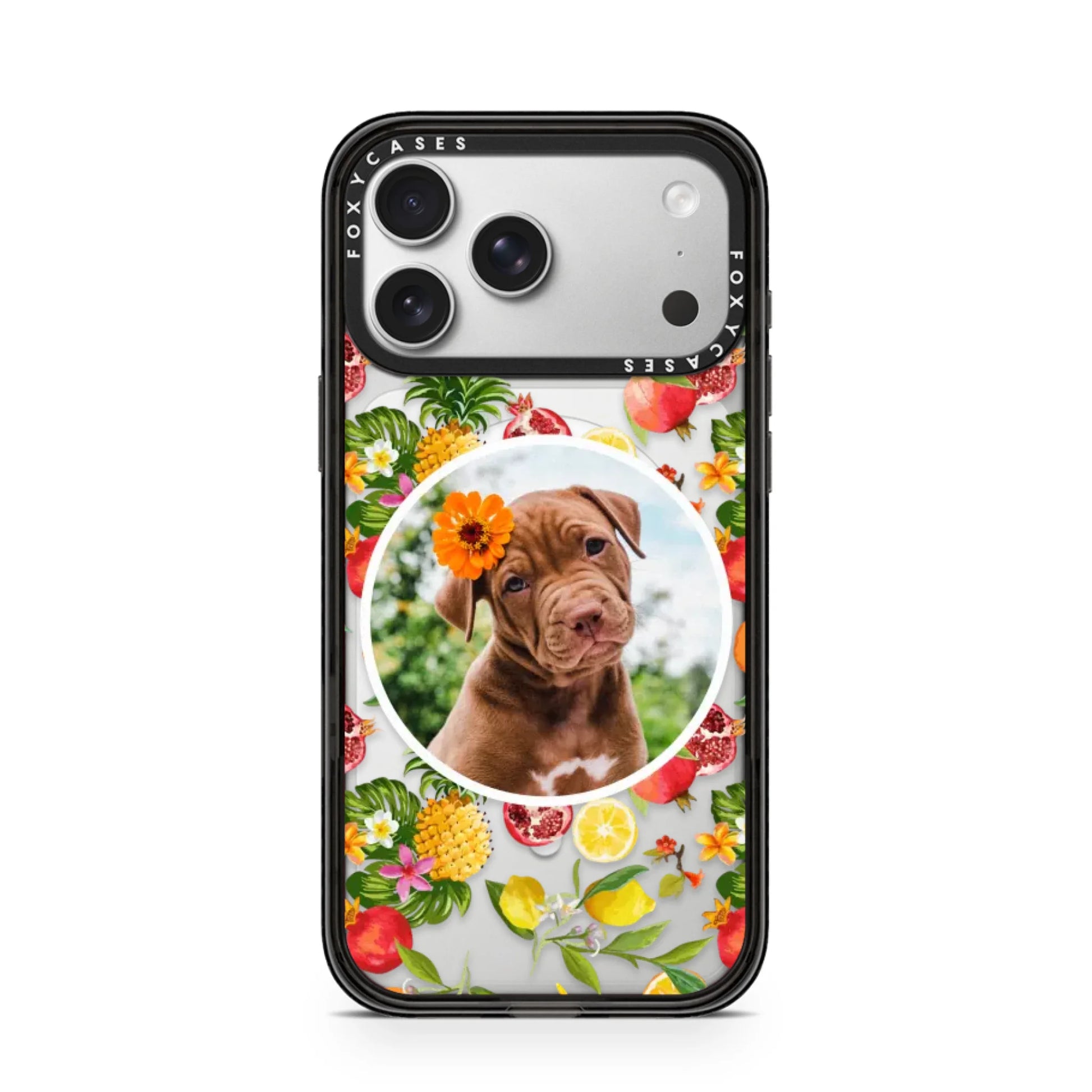 iPhone-17-Pro-Max-Silver