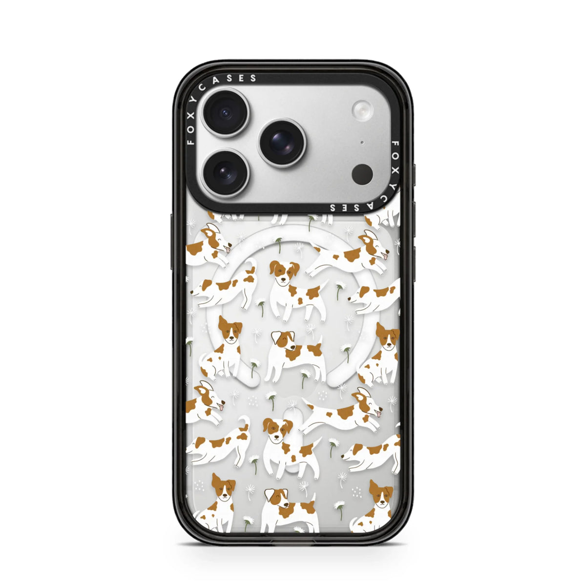 iPhone-17-Pro-Silver