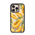 iPhone-16-Pro-Desert-Titanium