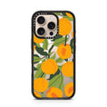iPhone-16-Pro-Desert-Titanium
