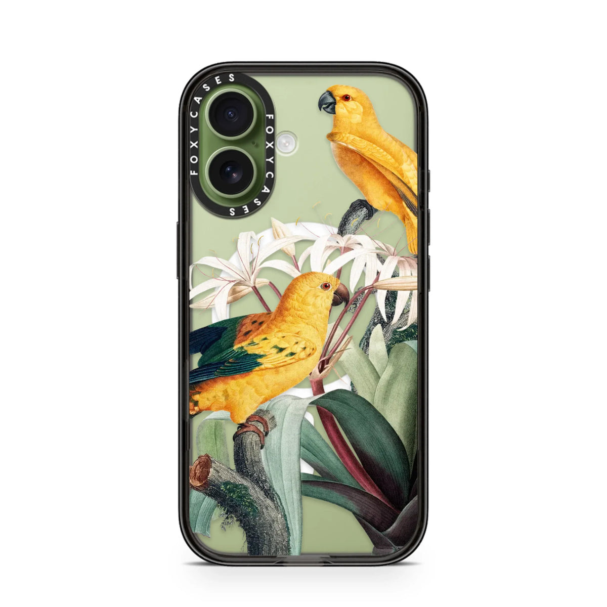 iPhone-17-Sage