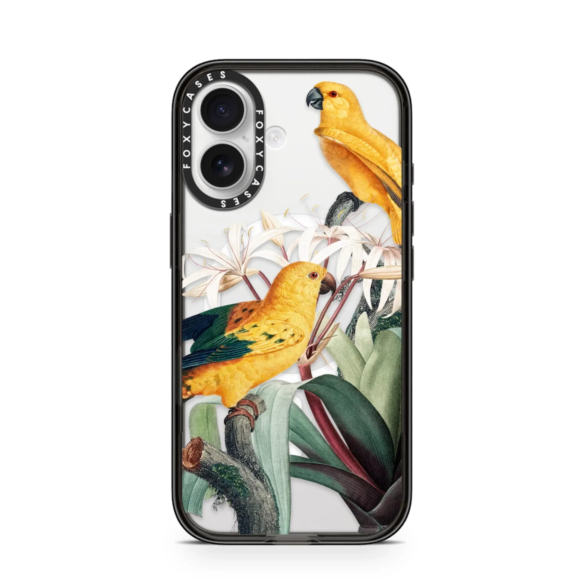 iPhone-17-White