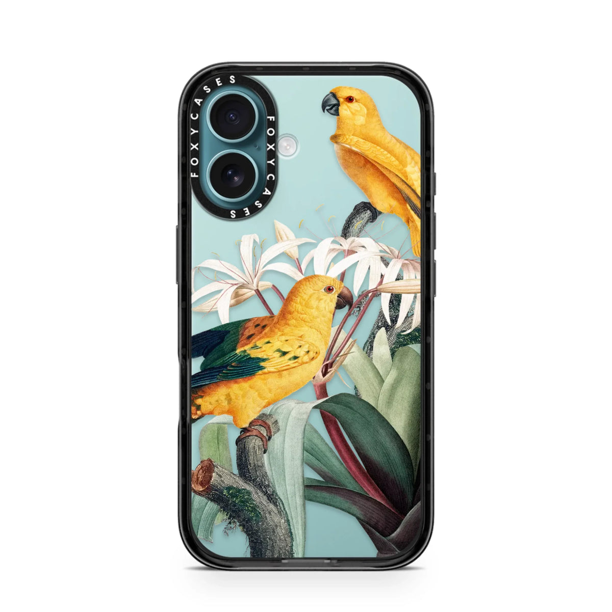 iPhone-16-Teal