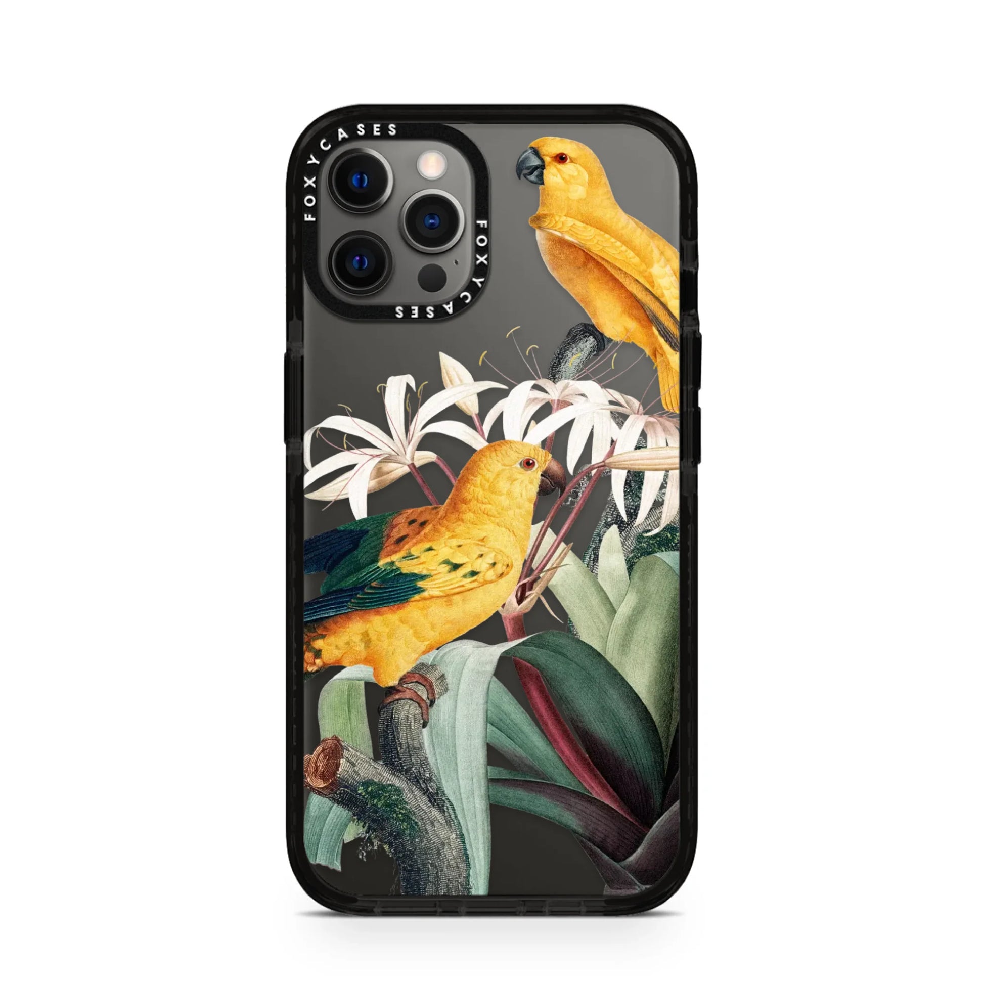 iPhone-12-Pro-Graphite