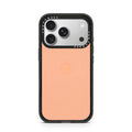 iPhone-17-Pro-Silver